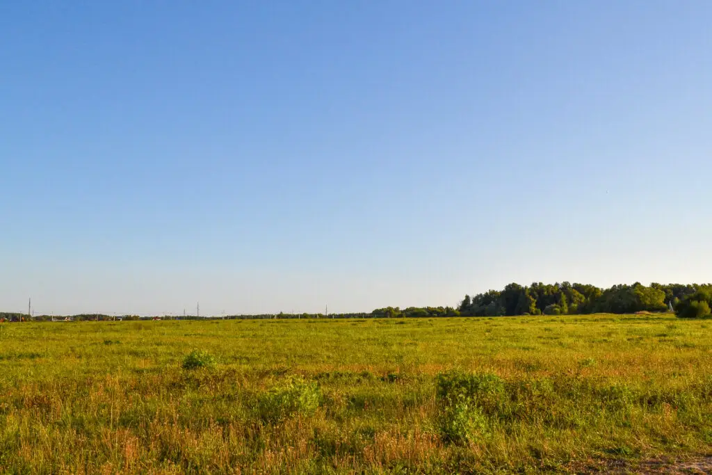 Field and sky on a sunny summer day